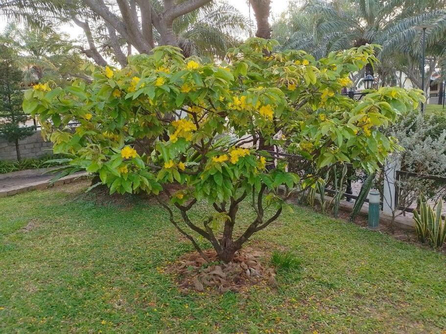 Biet Thu Bien Mui Ne - Villa Muine Domaine - Sea View 판티엣 외부 사진